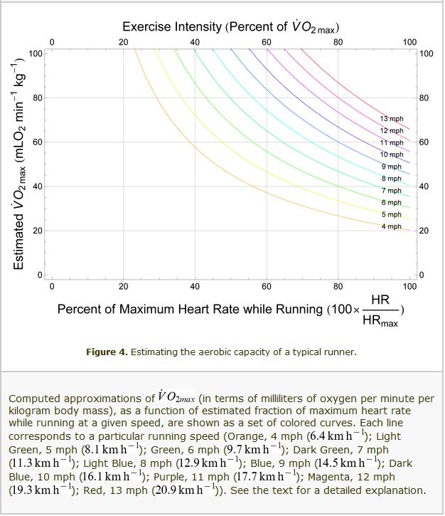 Estimating the aerobic capacity of a typical runner